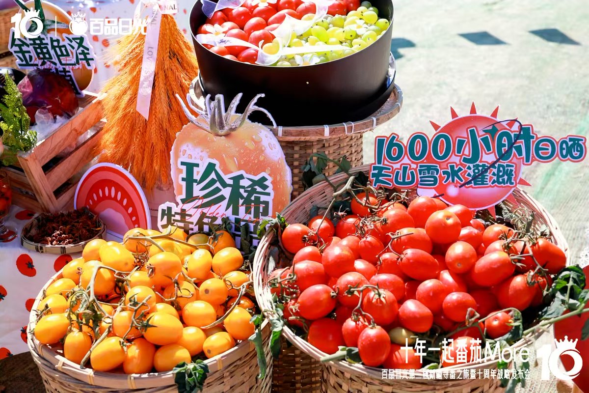 Shanna Chavez tweet media