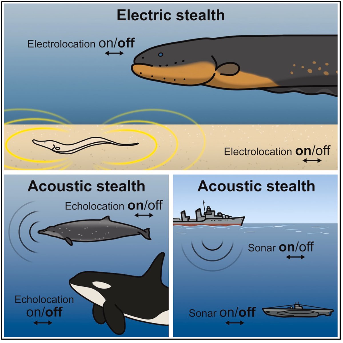 John P. Sullivan tweet media