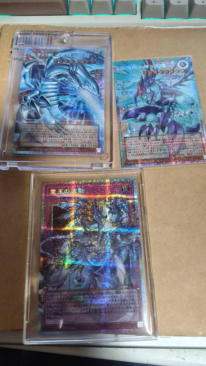 獅子唐畑 tweet media