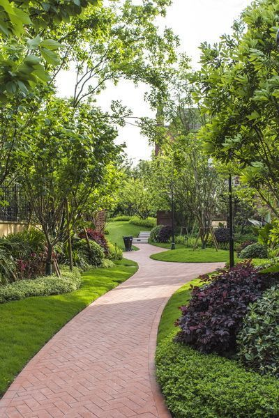 Professor tweet media