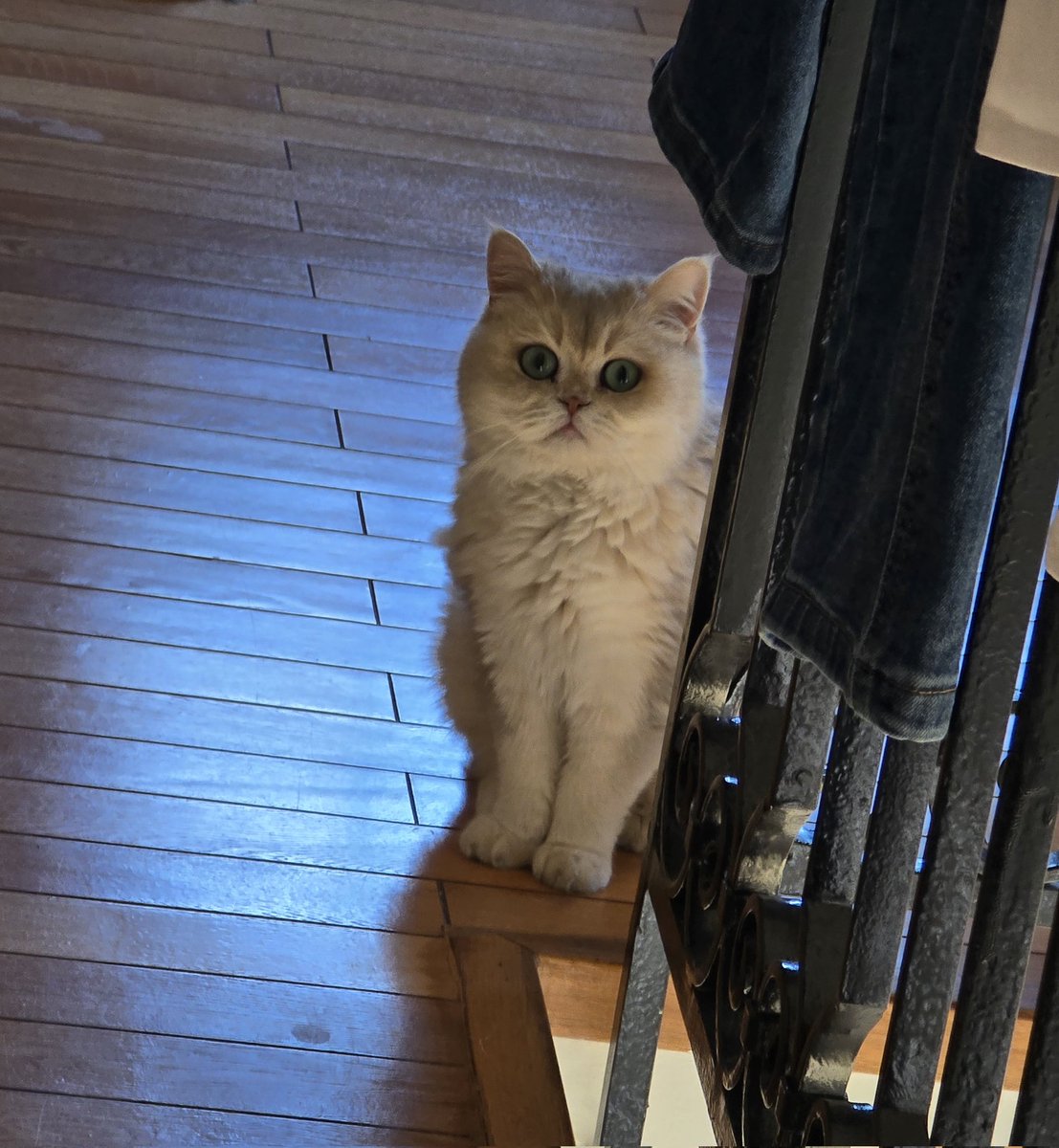 Ferdinand Lassalle tweet media