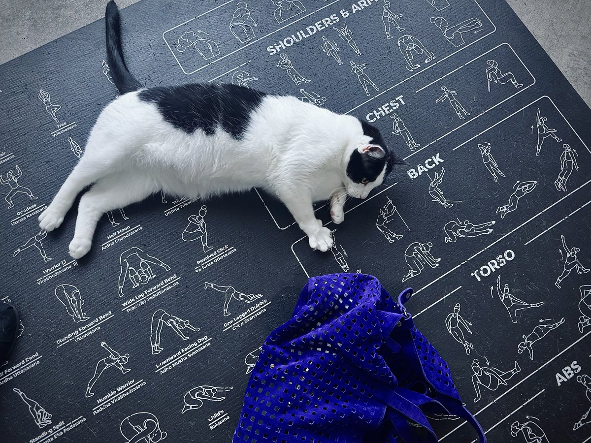 Julia Taft tweet media