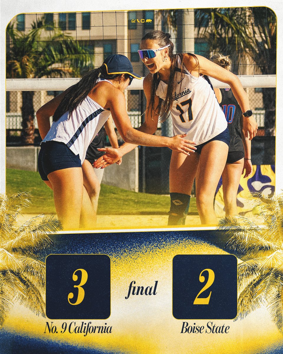 Cal Beach Volleyball tweet media