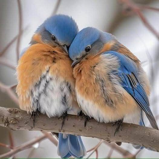 Angelika ♥️🌹❤️🔥👑🌿🕊🙏 tweet media