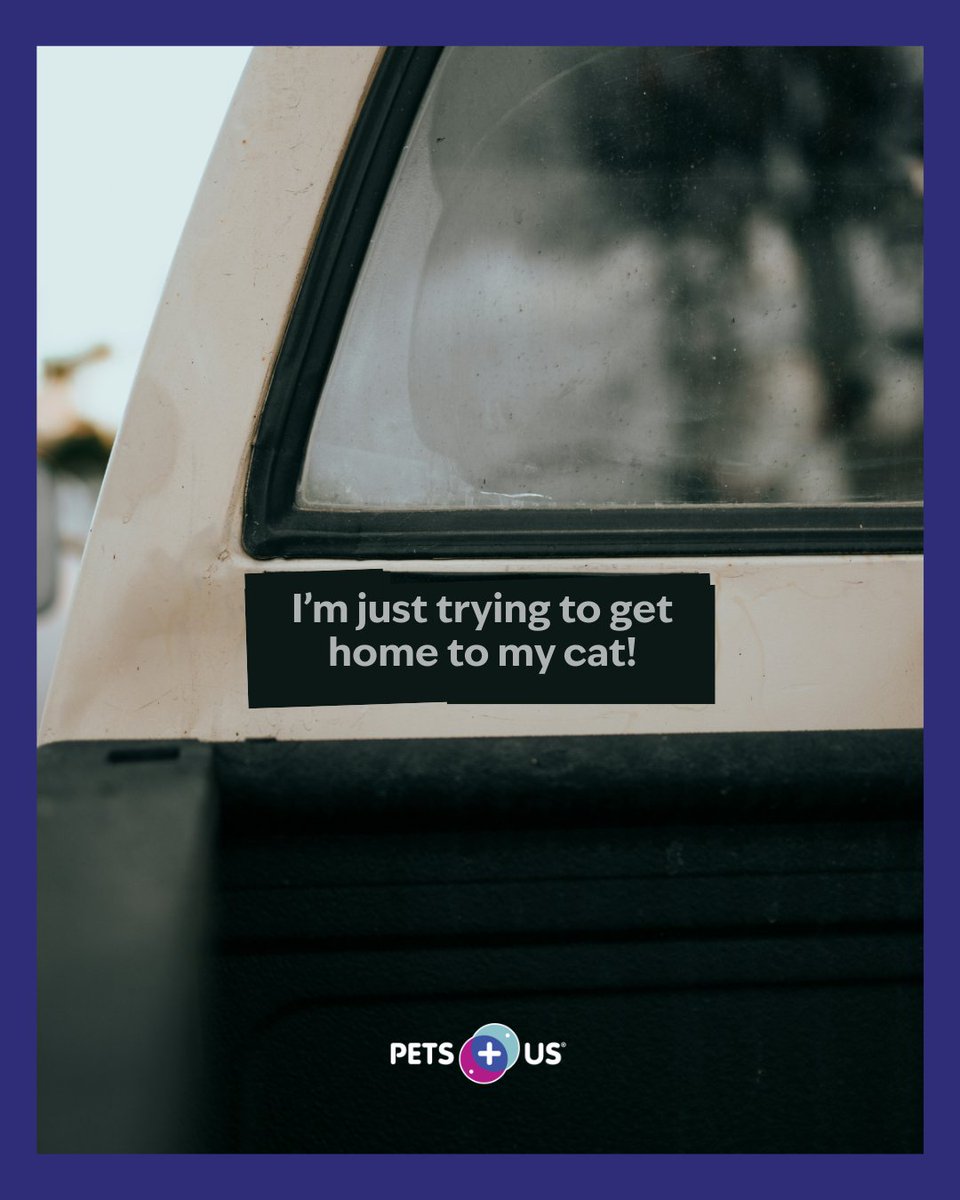 Pets Plus Us tweet media