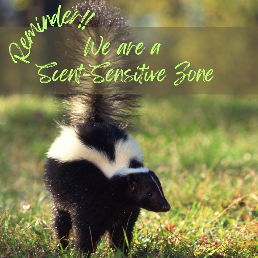 Community Living Trent Highlands tweet media