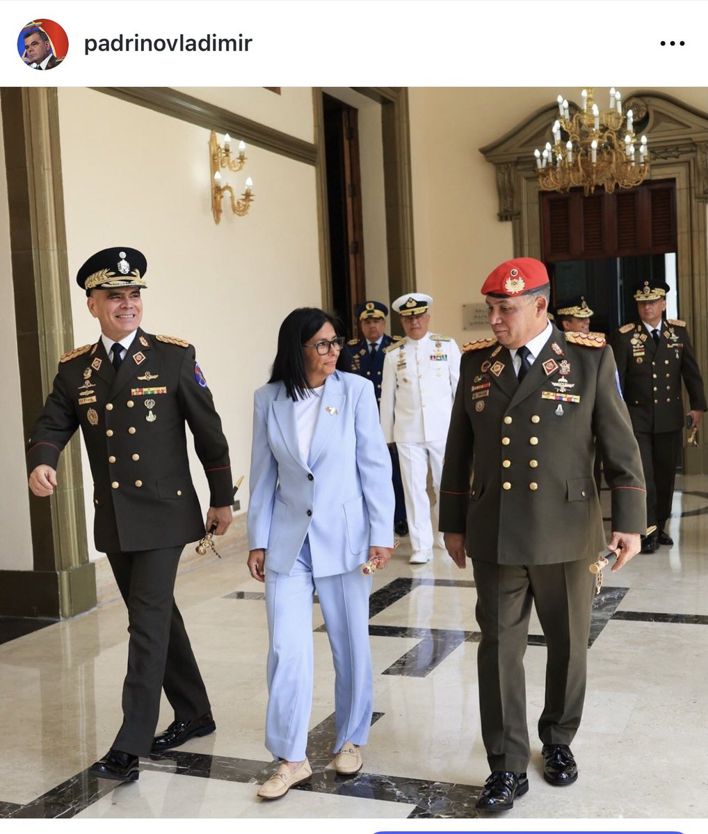 Vladimir Padrino L. tweet media