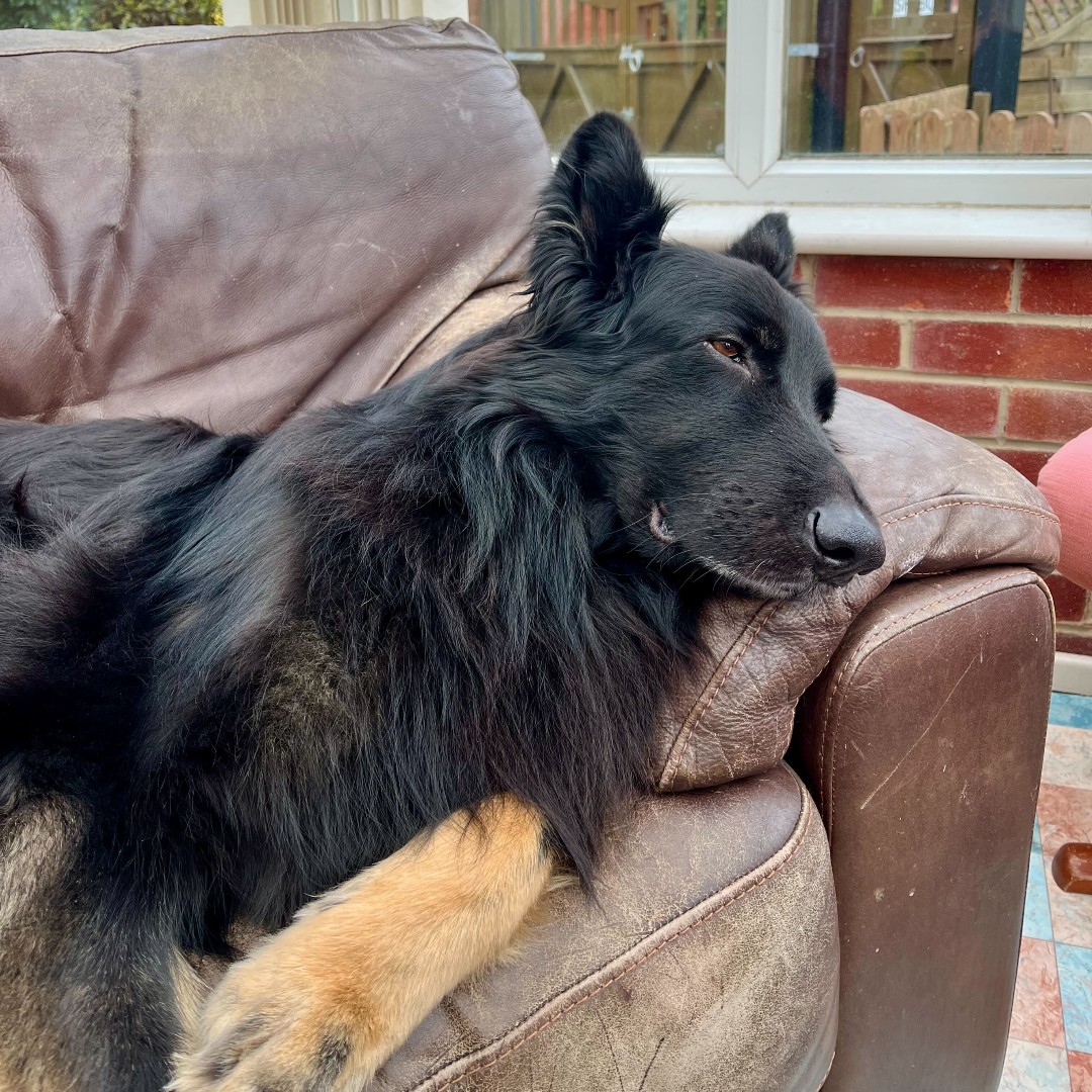 Choc Lit Publishing tweet media