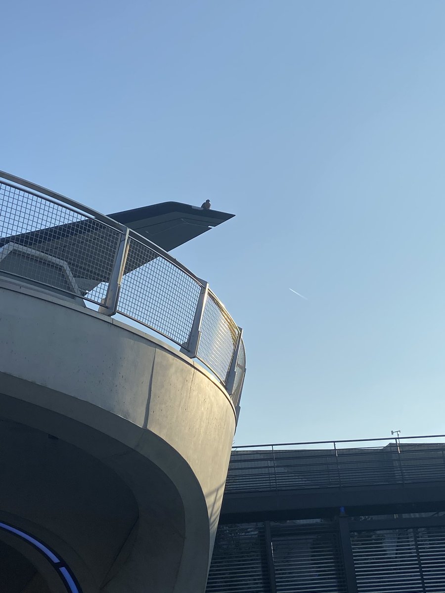 Rλndom // Stardust tweet media