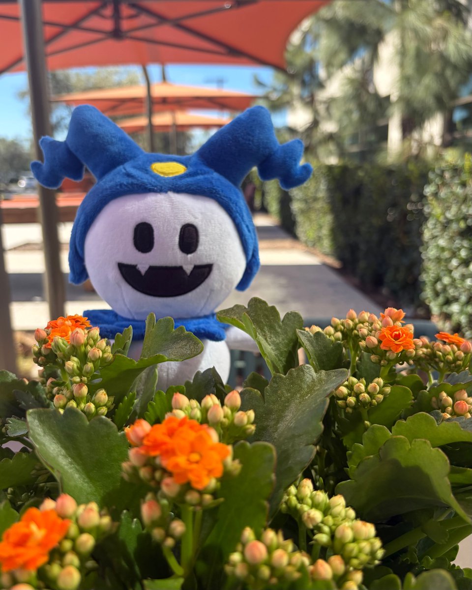 Official ATLUS West tweet media