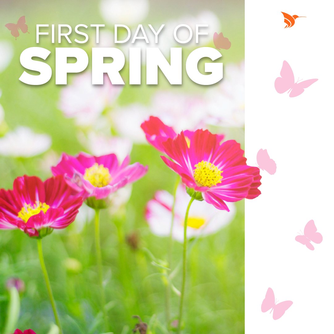 AdvancedMD tweet media