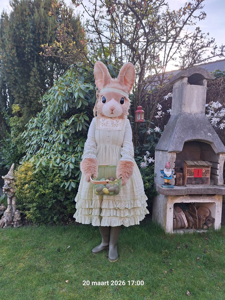 ♝Dragon Diplomat♗ 🏳️‍🌈 tweet media