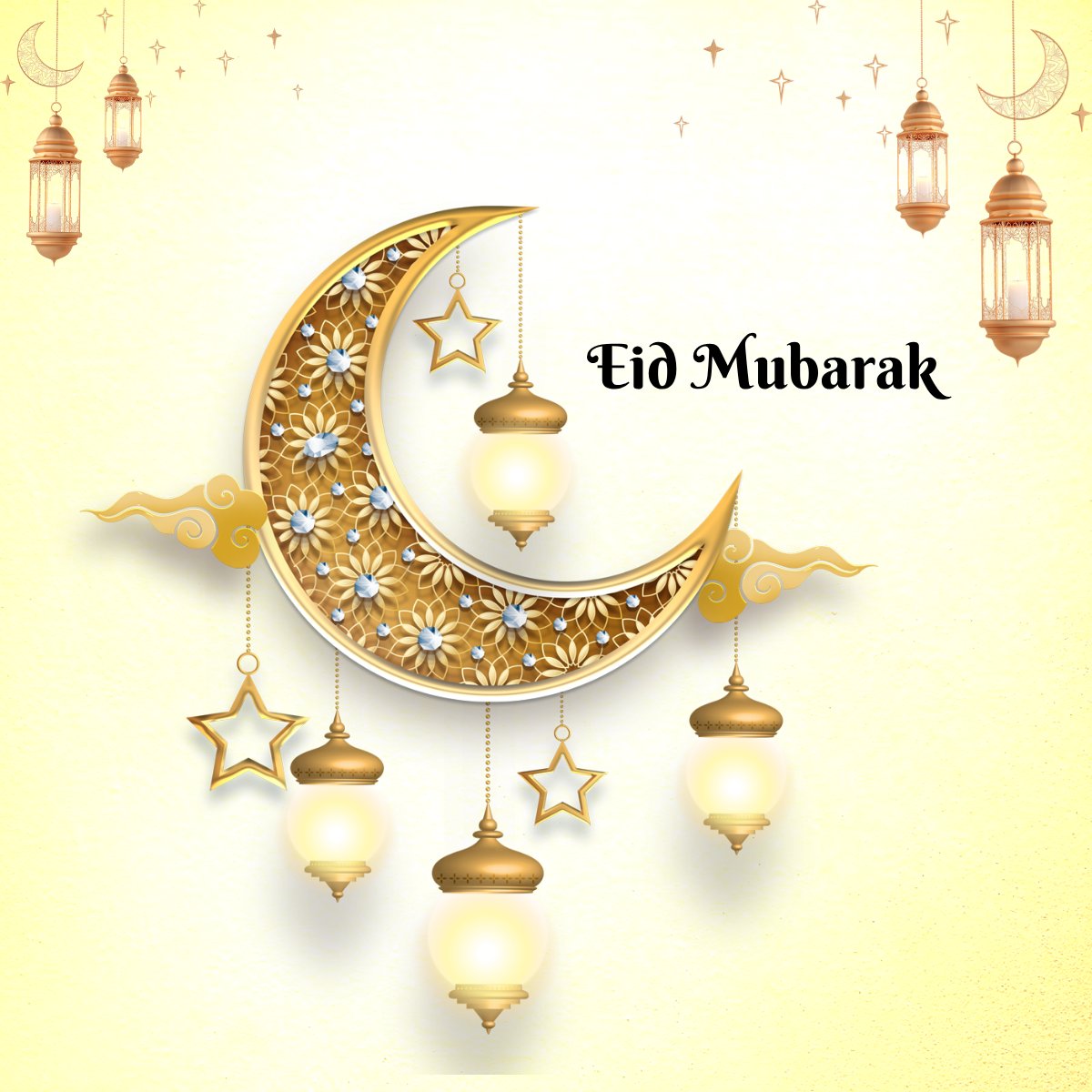 Immigrant Services Calgary tweet media