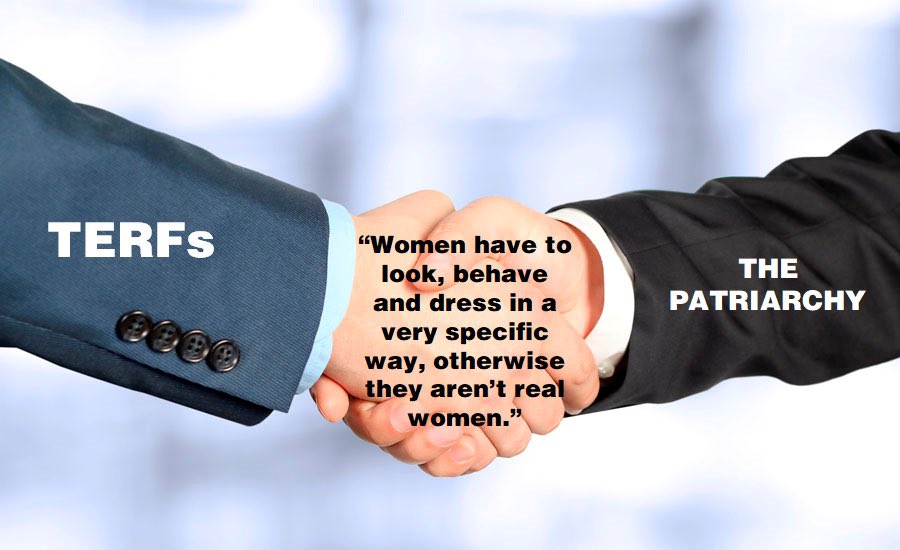 cephalopod strategies tweet media