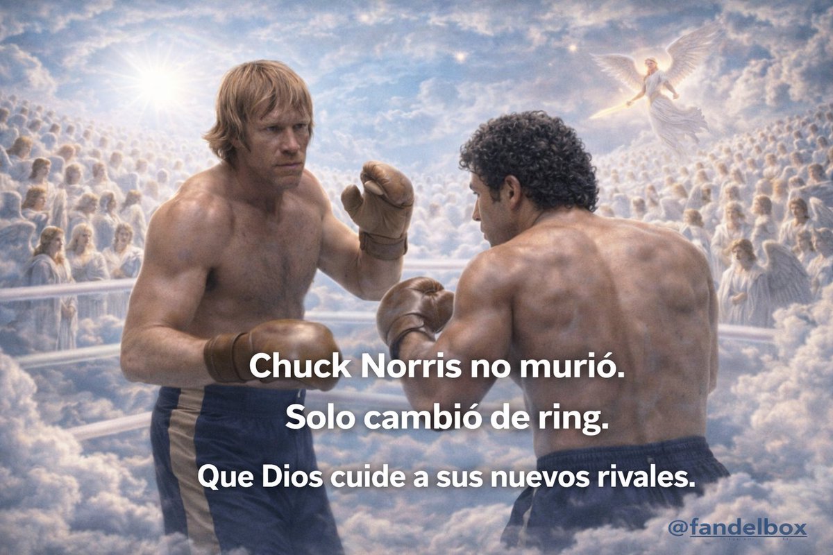 Fan del Box tweet media