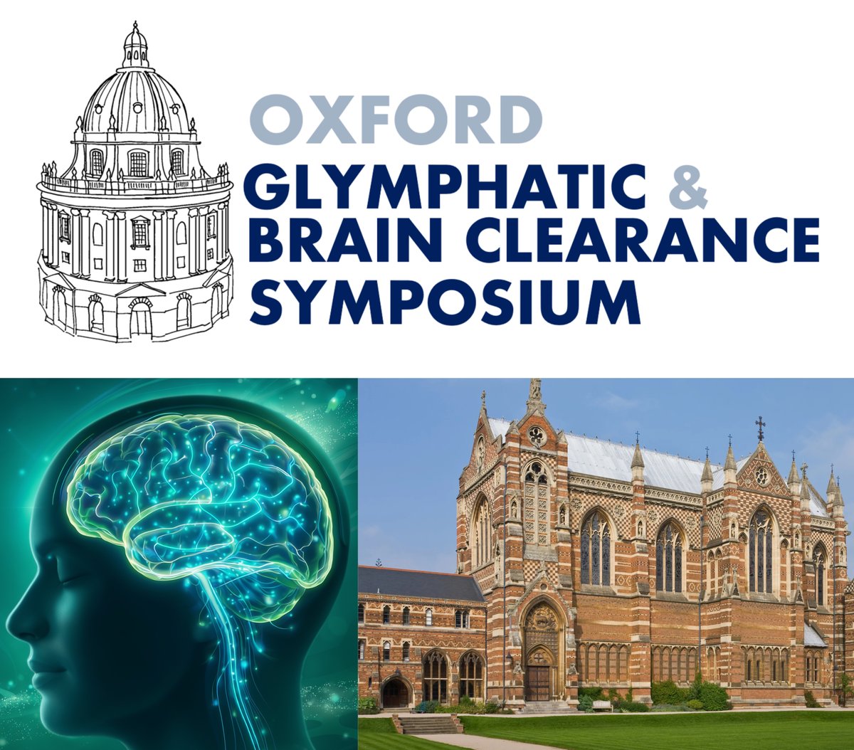 bel_brain's tweet photo. Next week at the Oxford Glymphatic Clearance Symposium (March 30-April 1), Neurosom scientist Dr. Don Tucker will present: 'tES Synchronization of Slow Oscillations in N3 Sleep Decreases Brain Electrical Impedance: Implications for Improved Brain Waste Clearance'. https://t.co/EbIp0tQbvl
