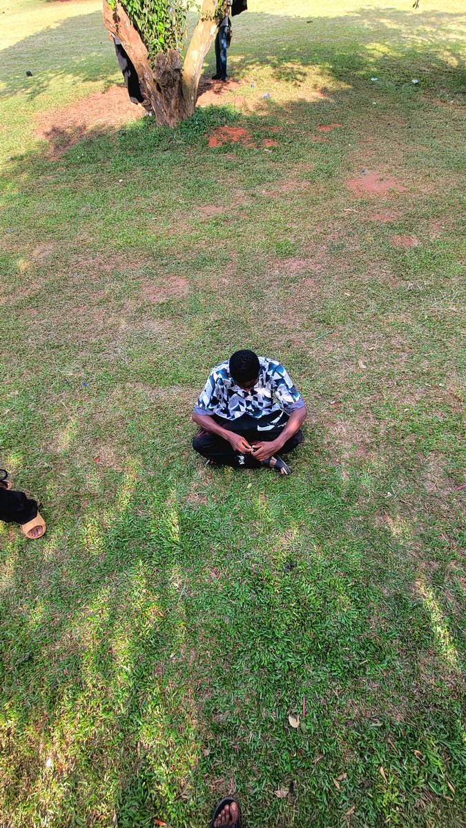 DyCoder💙 tweet media