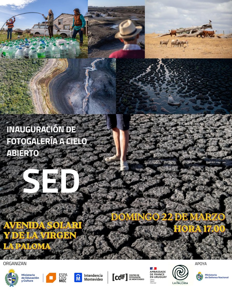 Centro de Fotografía tweet media