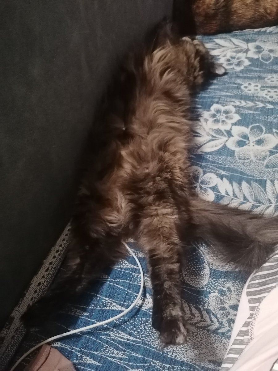 Елена tweet media