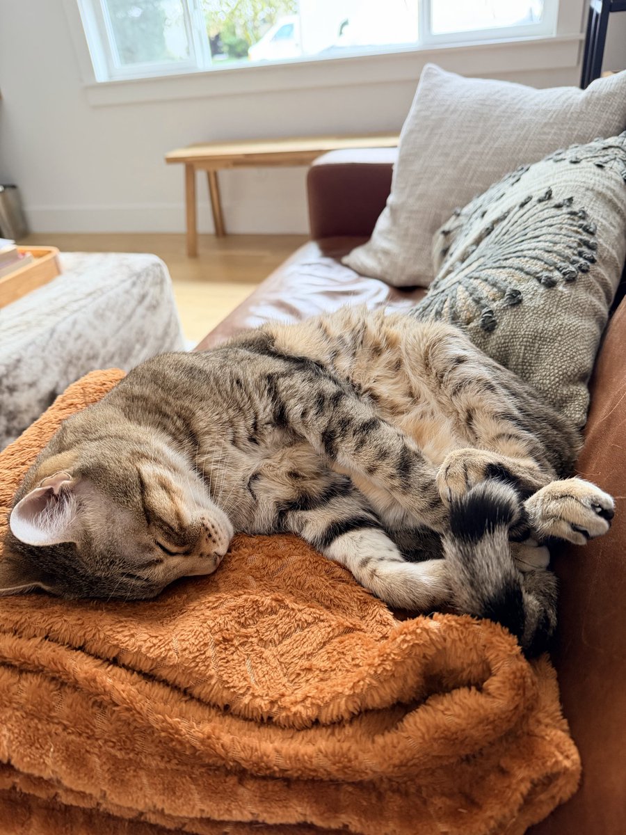 It’s Raining 🍁s tweet media