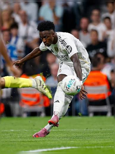 Trebor Fauna tweet media