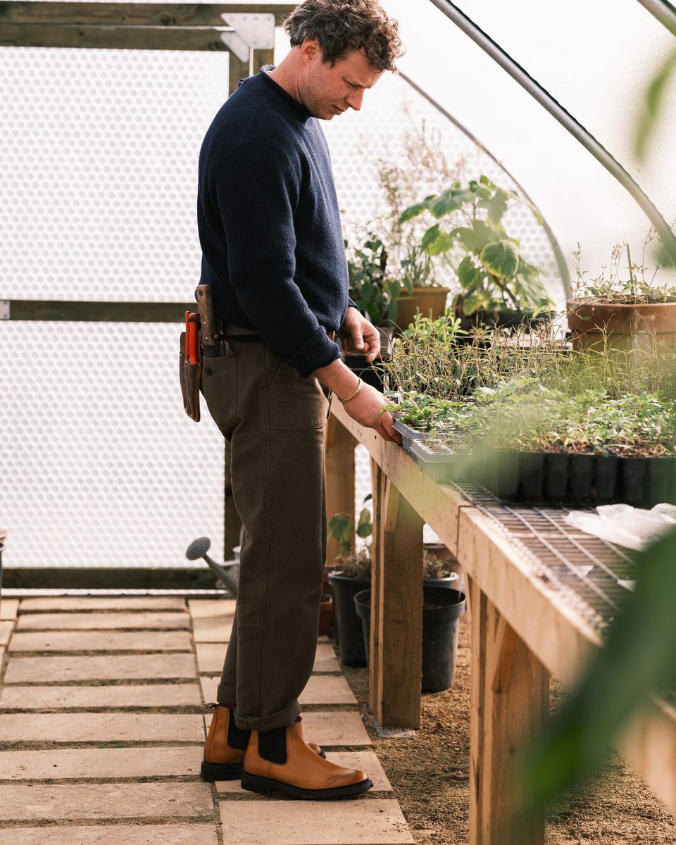 Tricker's tweet media