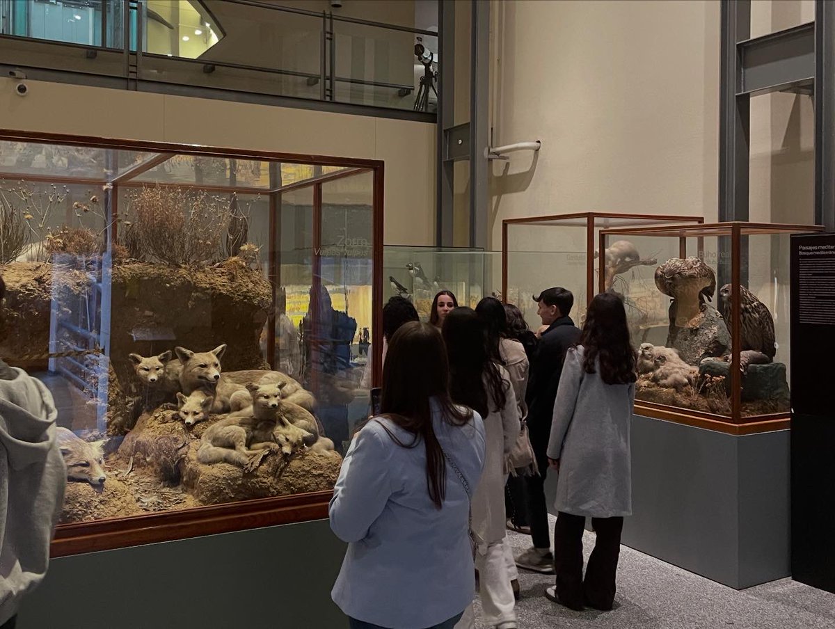 ColegioAmachado's tweet photo. Los alumnos de 1º y 2º de bachillerato han podido conocer el Museo Nacional de Ciencias Naturales y el Museo Del Prado de Madrid. Un día de convivencia y puesta en práctica de los conocimientos aprendidos en clase. #salamanca #madrid #museodelprado #mncn https://t.co/OfvqK8MKqy