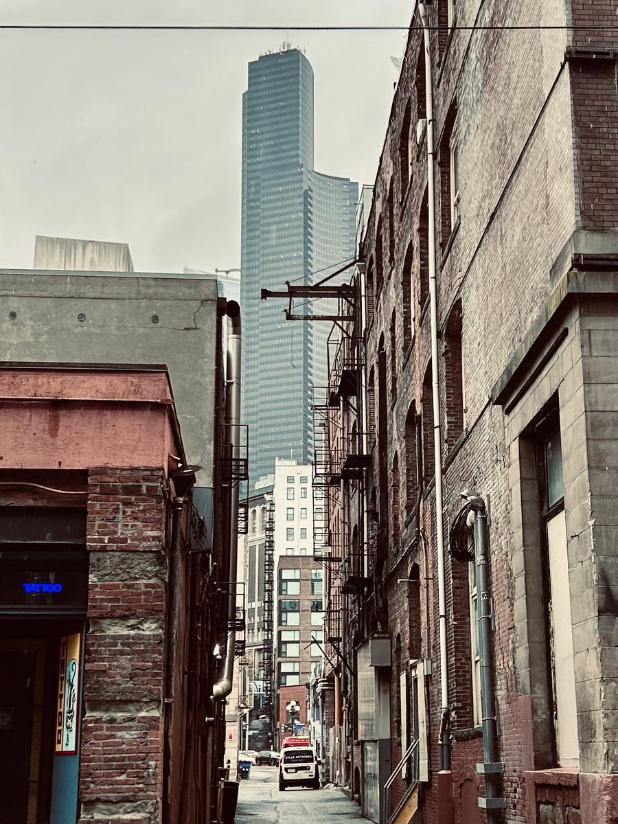 High-Rize tweet media