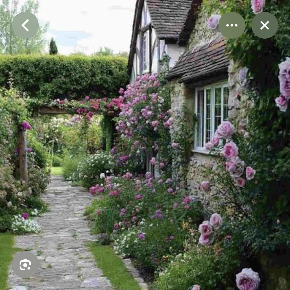 Jess🏴🌹 tweet media