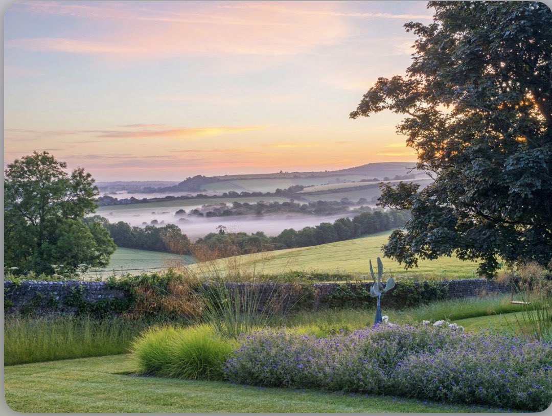 Jess🏴🌹 tweet media