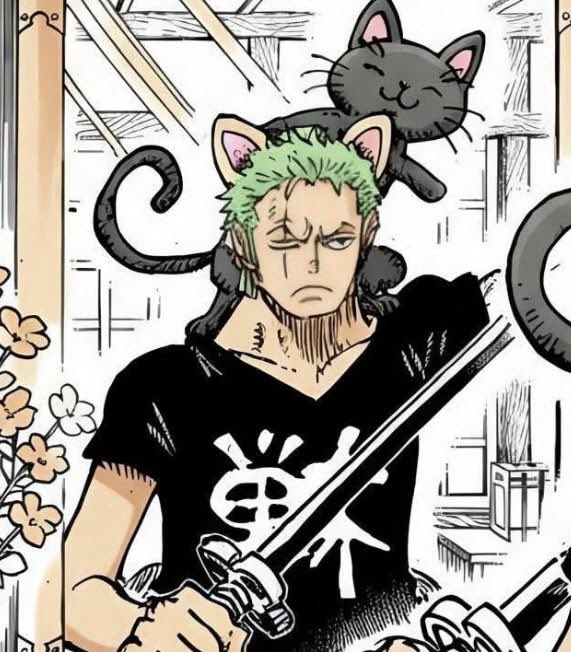 hourly zolu tweet media