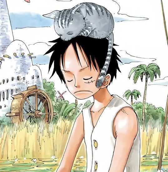 hourly zolu tweet media