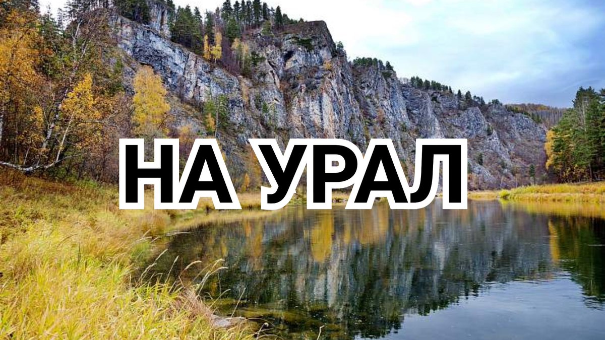 GOLDEN RETWEETER🦮 tweet media