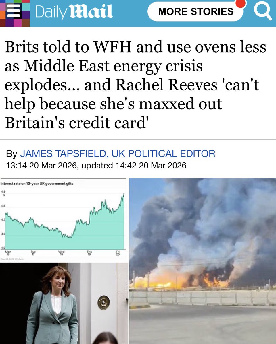 Wolf 🐺 tweet media