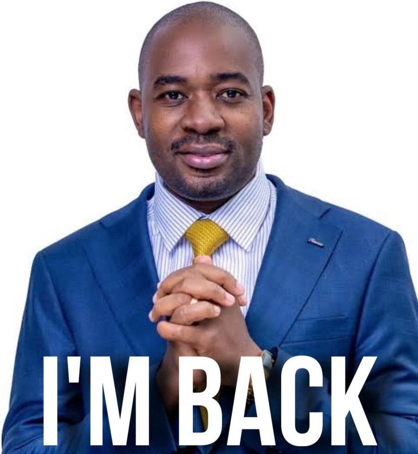 Bruce Moyo tweet media