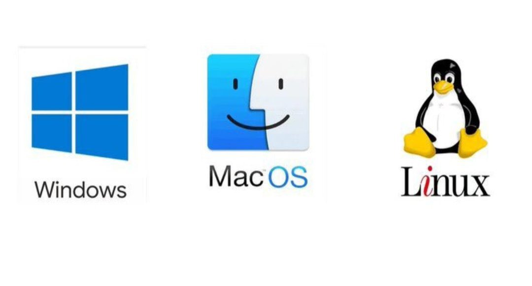 Megha Bhardwaj tweet media