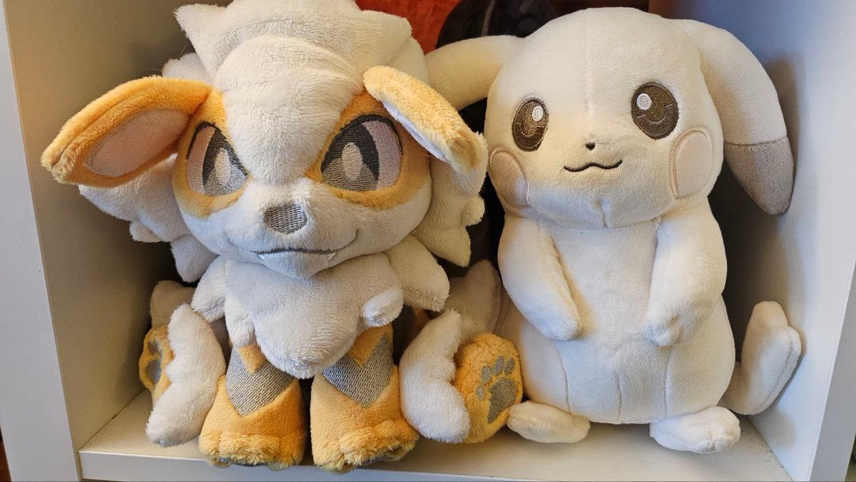 🖤 Ziphora 🧡 tweet media