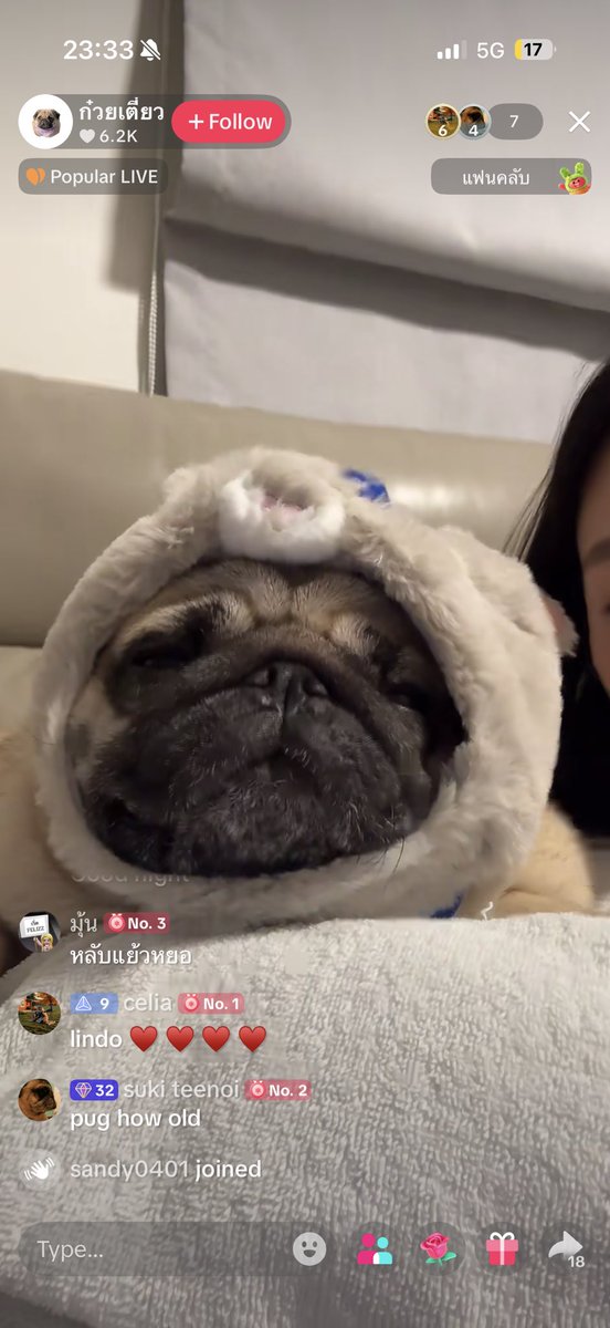 มุ้น tweet media