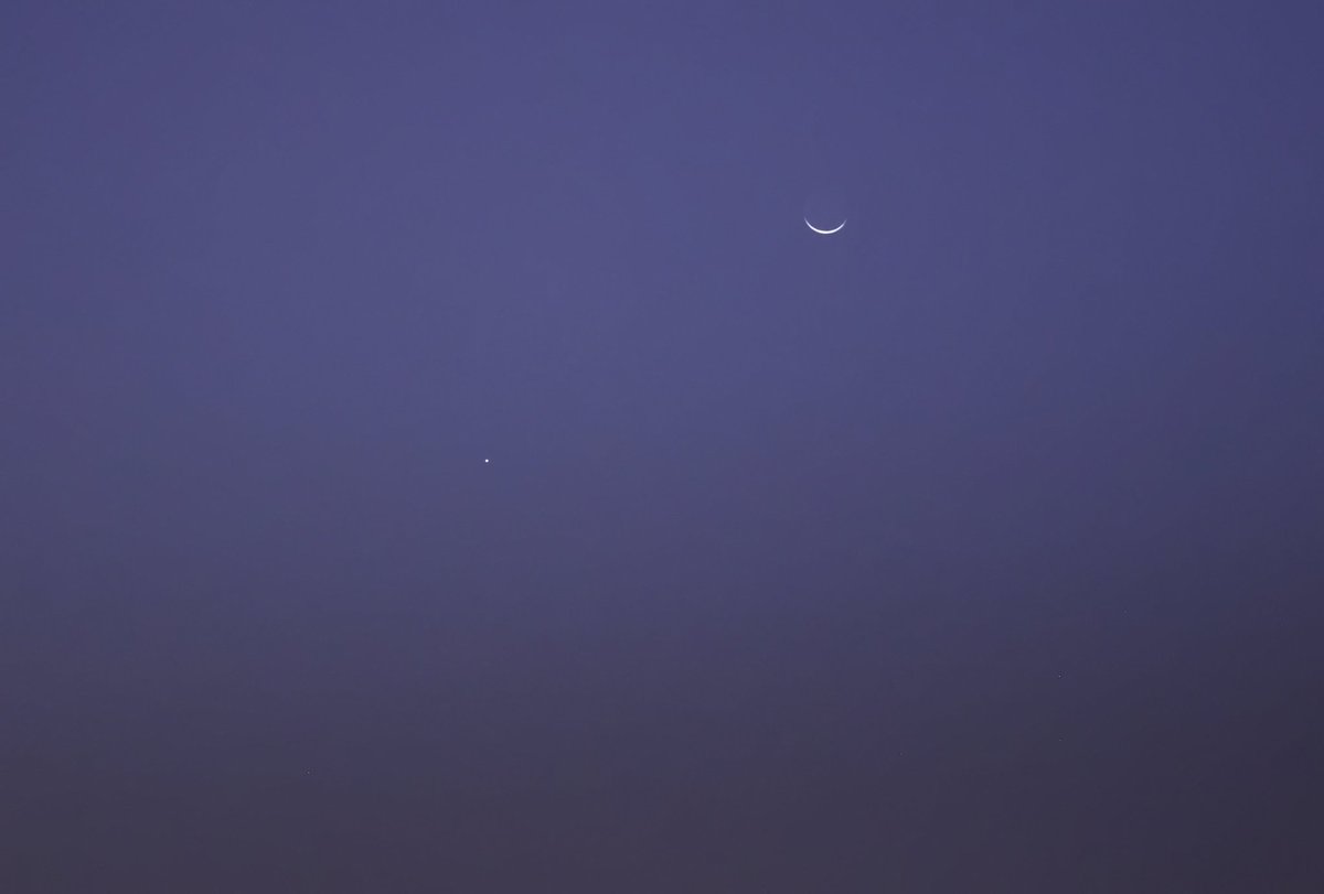 عيسى الغفيلي tweet media