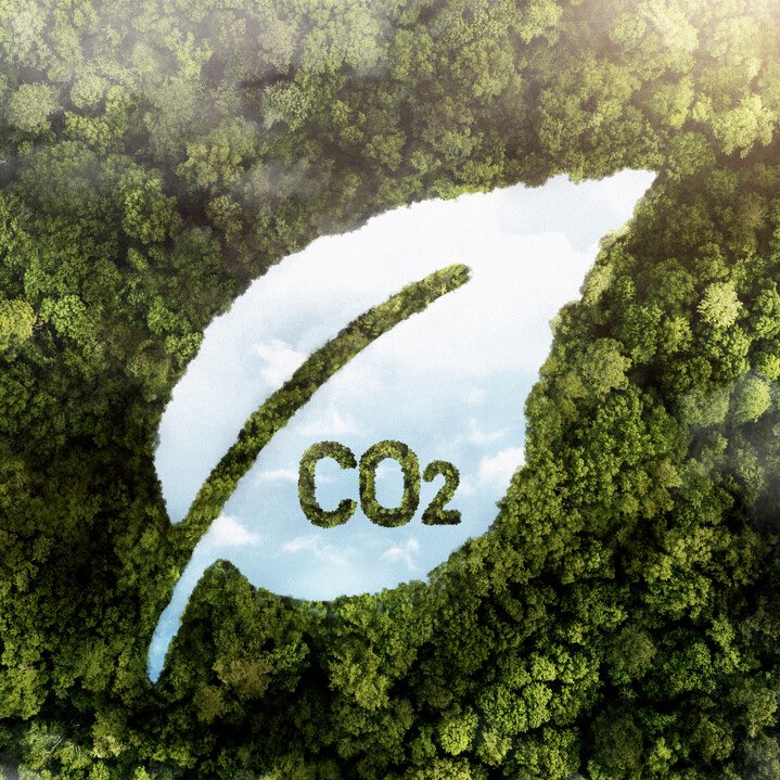 Neural Space tweet media