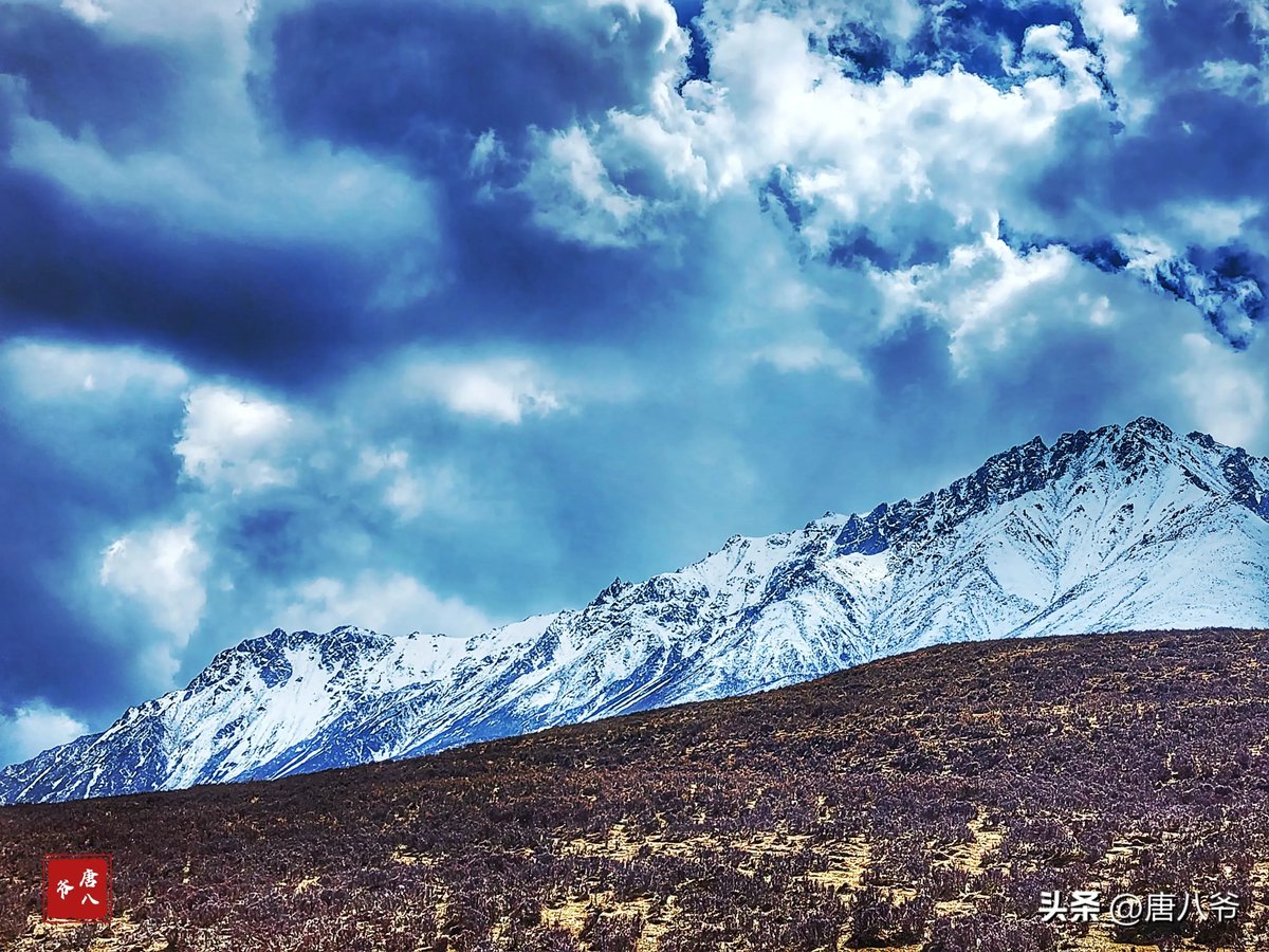 Ali Kais tweet media