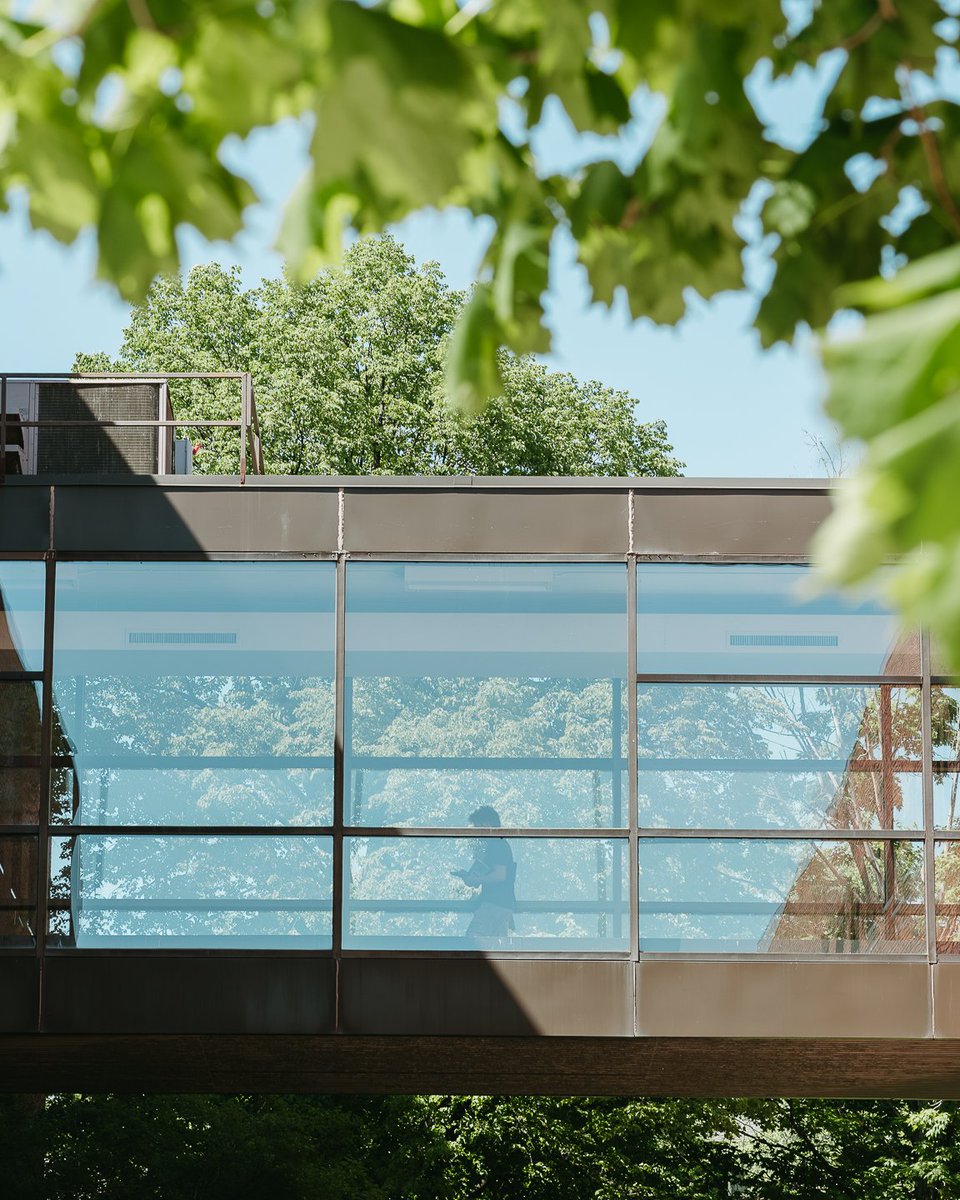 Bethel University tweet media