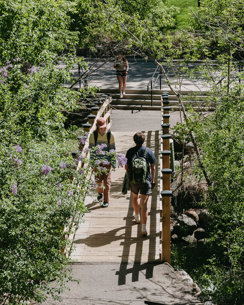 Bethel University tweet media