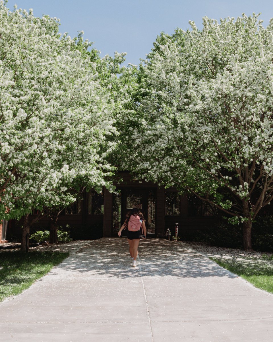 Bethel University tweet media