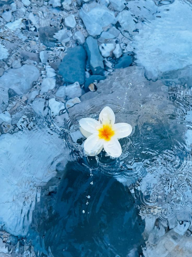 Aqua Vibes tweet media