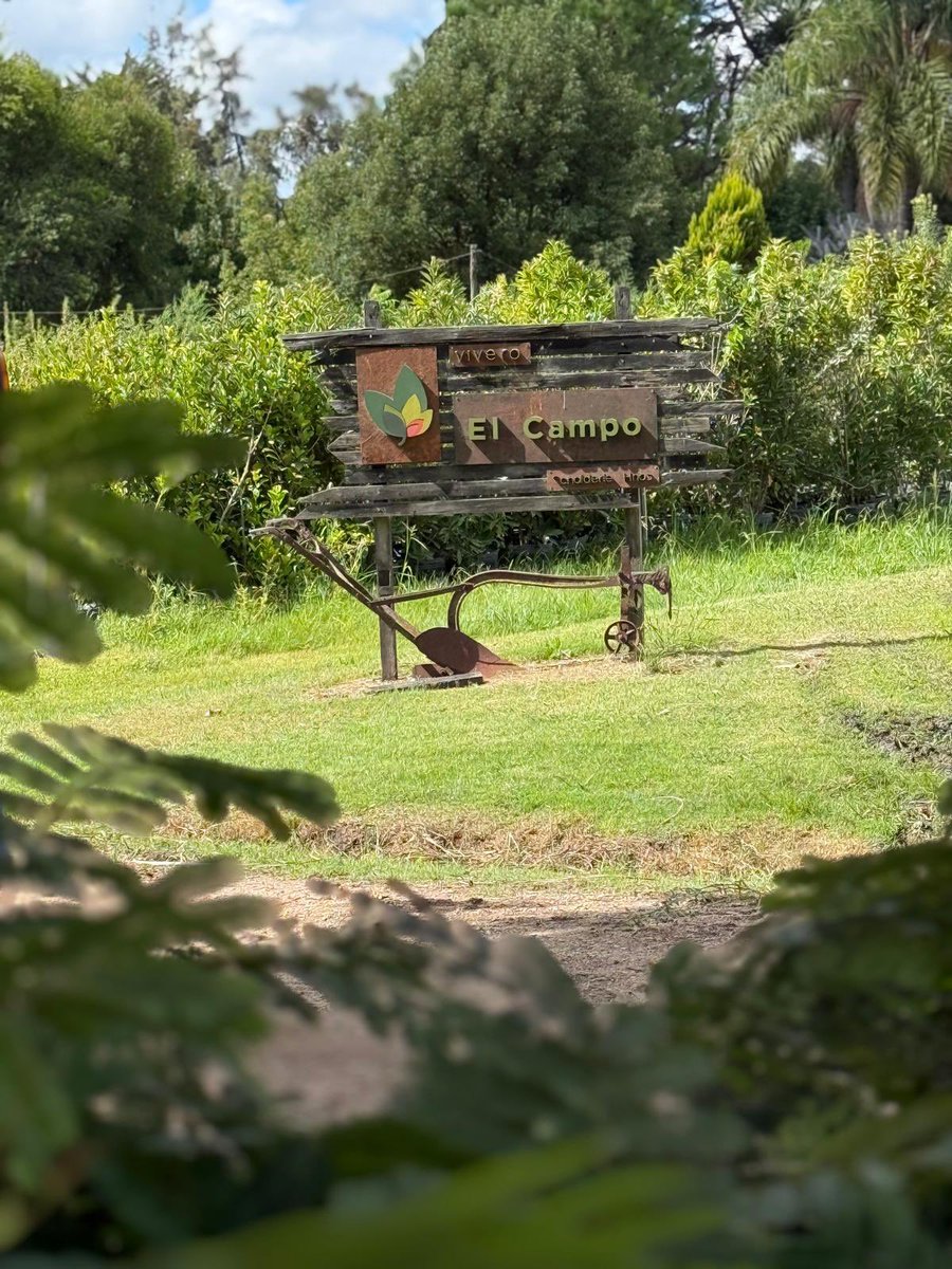 Carlos Daniel Camy tweet media