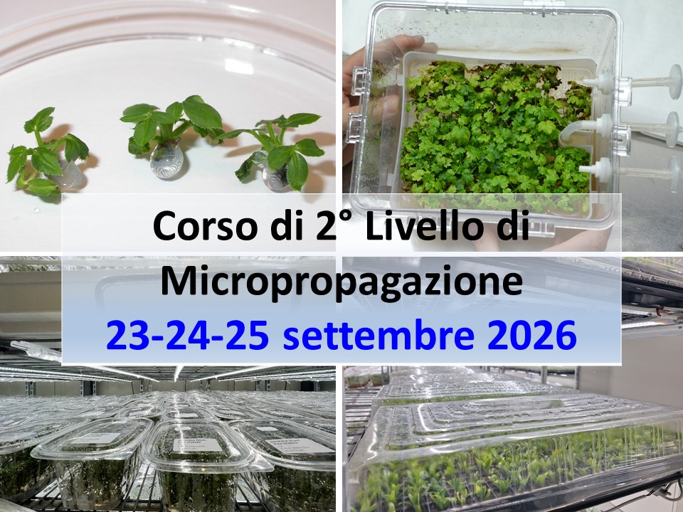 FertirrigoFacile di Silvio Fritegotto tweet media