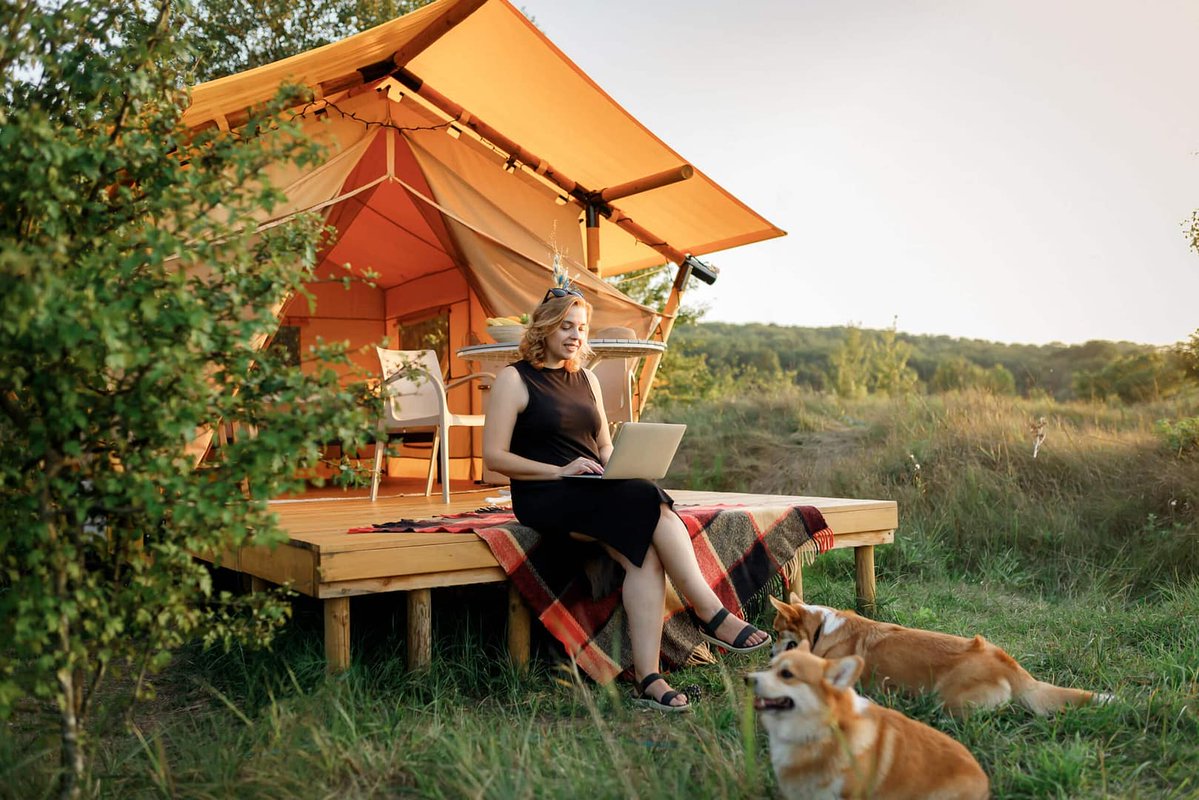 Modern Campground tweet media