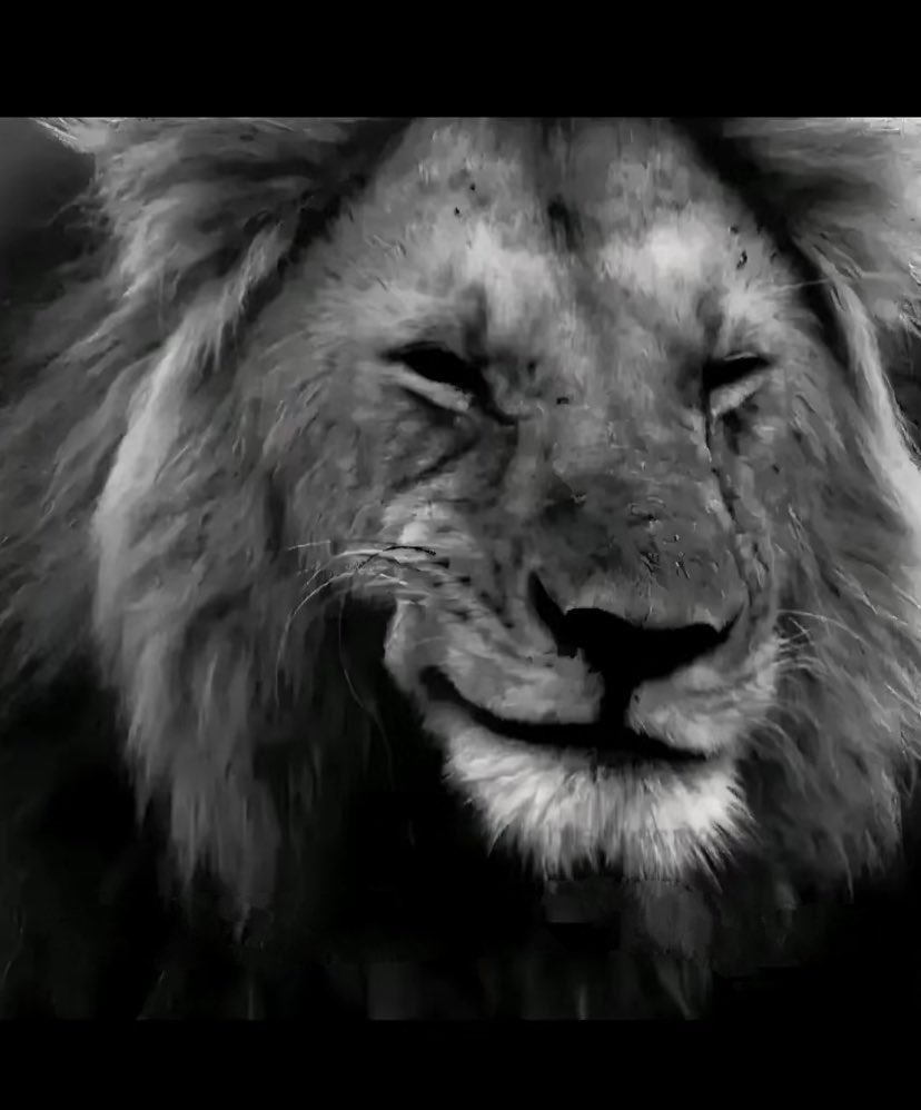 عبدالله tweet media