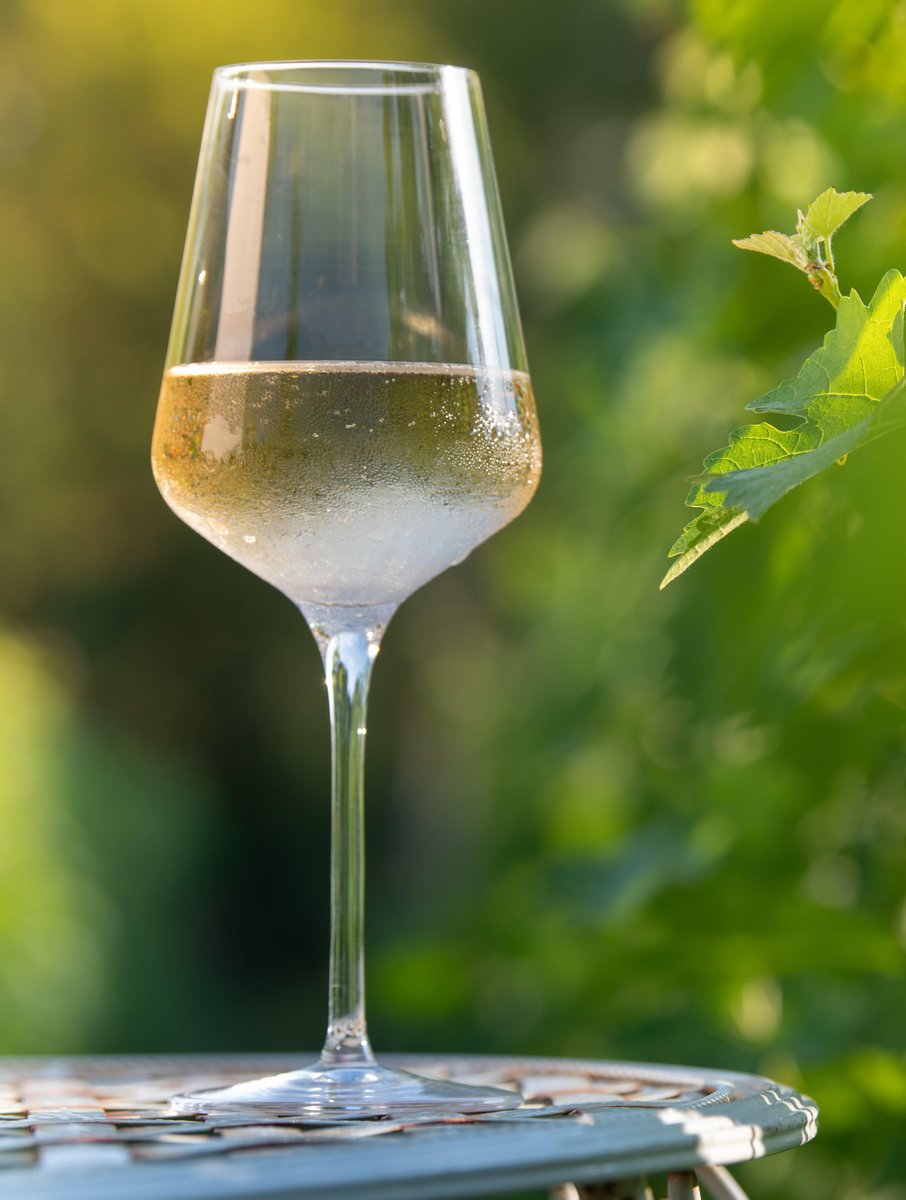 samwylieharris's tweet image. Wonderful white wines to signal springtime.... from chenin blanc to sauvignon blanc &amp;amp; riesling, these wines are fresh as a daisy! @villamariawine @laithwaites @Tesco @waitrose @yalumba #winelover #springvibes #weekendwines 🥂#cheers 
irishnews.com/life/food-drin…
